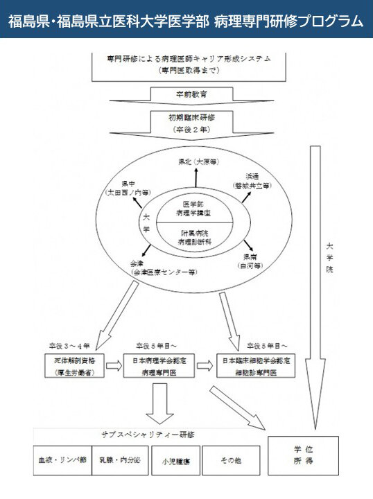 病理のキャリアイメージ